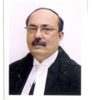 Hon’ble Mr. Justice Alok Mathur 
