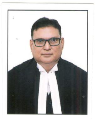 Hon’ble Mr. Justice Anil Kumar Ojha (Addl.)