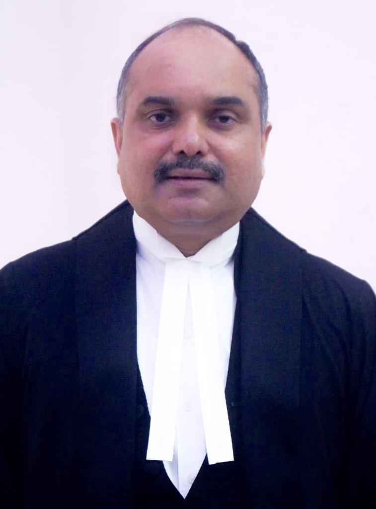 Hon’ble Mr. Justice Chandra Dhari Singh 