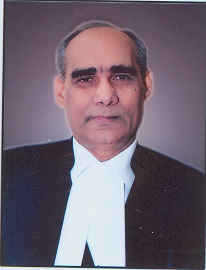 Hon’ble Mr. Justice Dharnidhar Jha 