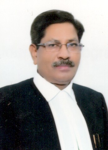 Hon’ble Mr. Justice Irshad Ali 