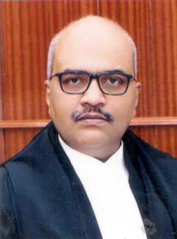 Hon’ble Mr. Justice Karunesh Singh Pawar 