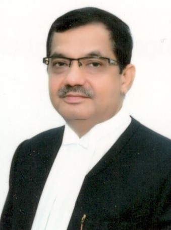 Hon’ble Mr. Justice Rajiv Joshi 