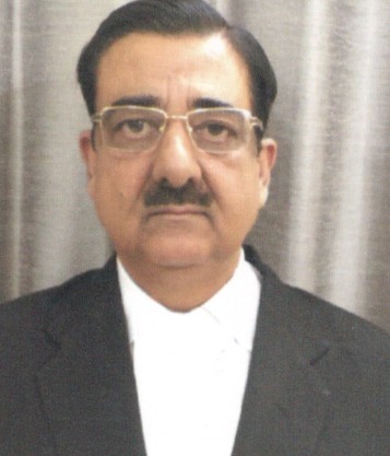 Hon’ble Mr. Justice Sanjay Harkauli 