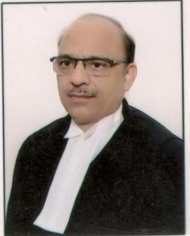 Hon’ble Mr. Justice Shailendra Kumar Agrawal 