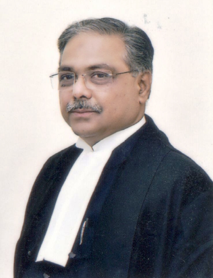 Hon’ble Mr. Justice Syed Qamar Hasan Rizvi (Addl.)