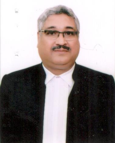 Hon’ble Mr. Justice Vivek Agarwal 
