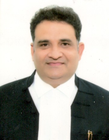 Hon’ble Mr. Justice Vivek Kumar Singh 
