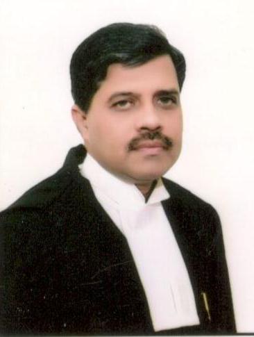 Hon’ble Mr. Justice Vivek Varma 