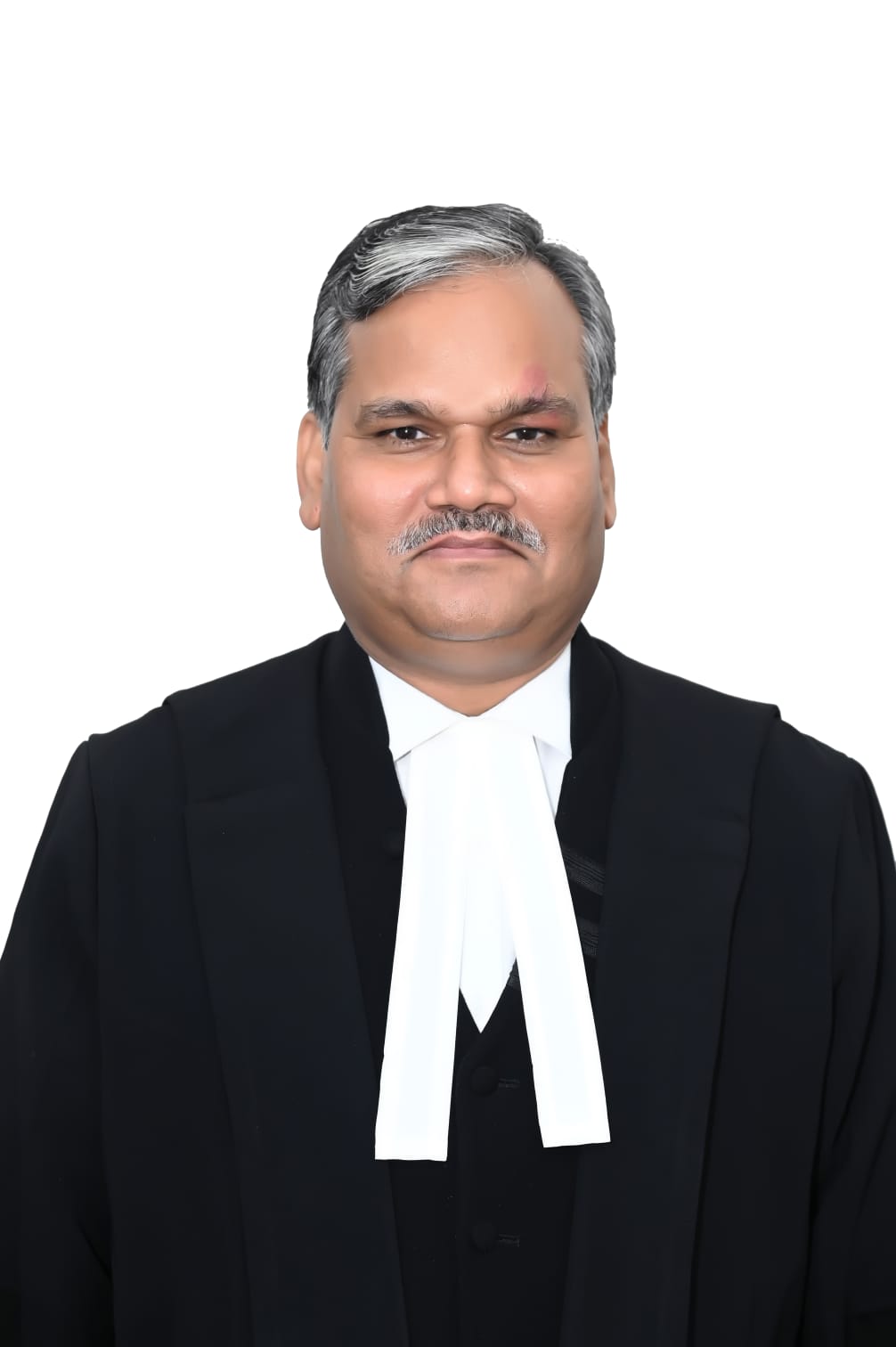 Hon’ble Mr. Justice Anish Kumar Gupta (Addl.)