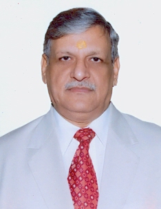 Hon’ble Mr. Justice Arvind Kumar Tripathi 