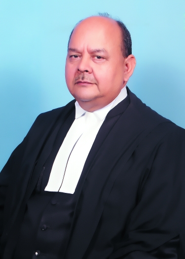 Hon’ble Mr. Justice Devi Prasad Singh 