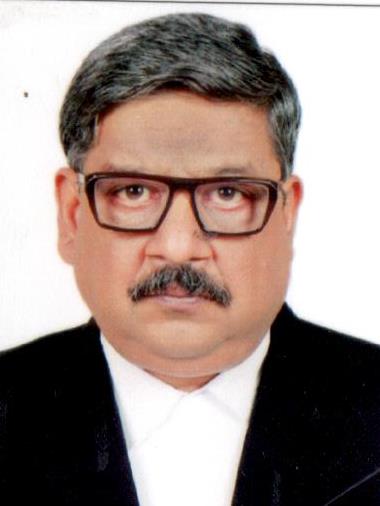 Hon’ble Mr. Justice Manish Kumar Nigam 