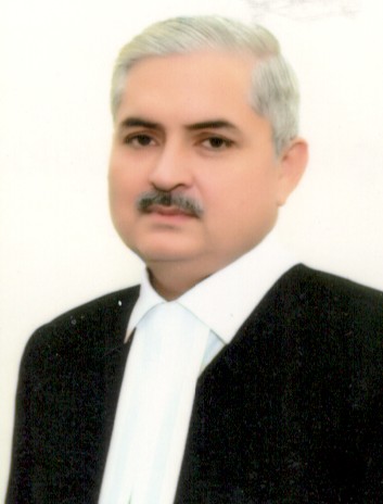 Hon’ble Mr. Justice Rajeev Misra 