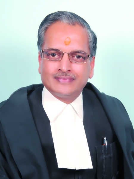 Hon&rsquo;ble&nbsp;Mr.&nbsp;Justice&nbsp;Rajesh Kumar Agrawal&nbsp;