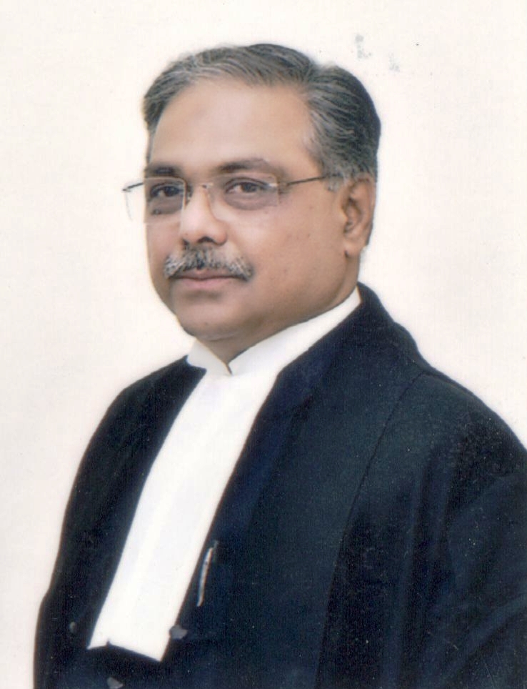 Hon’ble Mr. Justice Syed Qamar Hasan Rizvi 