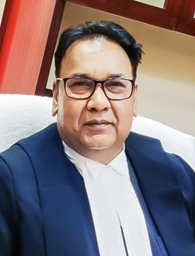 Hon’ble Mr. Justice Syed Waiz Mian (Addl.)