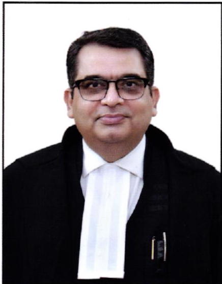 Hon’ble Mr. Justice Vivek Kumar Singh 