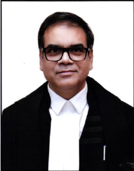 Hon’ble Mr. Justice Vivek Saran 