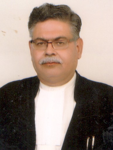 Hon’ble Mr. Justice Rahul Chaturvedi 