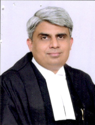 Hon’ble Mr. Justice Saumitra Dayal Singh 